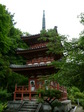 080609-3.JPG