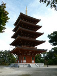 081013-5.JPG