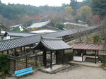 081223-1.JPG