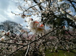 090223-4.JPG