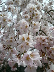 090406-2.JPG