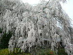 090406-3.JPG