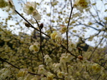 090406-4.JPG