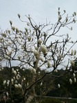 090406-5.JPG