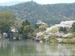 090412-3.JPG