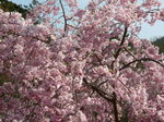 090413-4.JPG