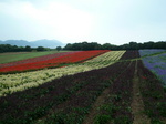 090829-1.JPG