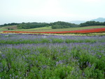 090829-2.JPG
