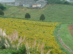 090829-4.JPG