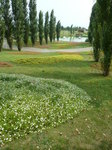 090830-1.JPG