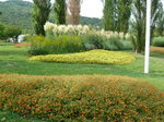 090830-2.JPG