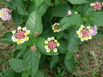 090830-3.JPG
