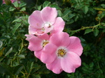 090830-5.JPG