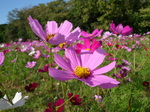 091020-1.JPG