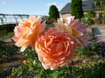 091020-2.JPG