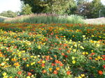 091024-1.JPG