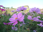091024-2.JPG