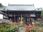 100111-1.JPG
