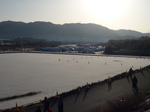 100207-2.JPG
