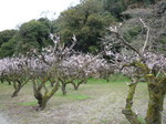 100323-2.JPG