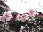 100323-3.JPG