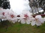 100323-4.JPG