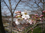 100324-4.JPG
