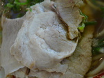100822-2.JPG