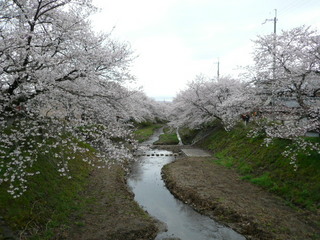 110410-10.JPG