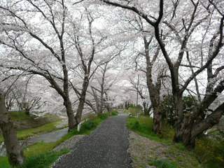 110410-12.JPG