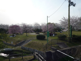110413-3.JPG