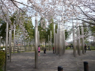 110413-5.JPG