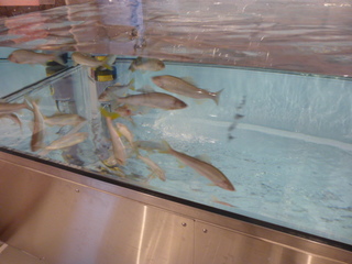 130407-4.JPG