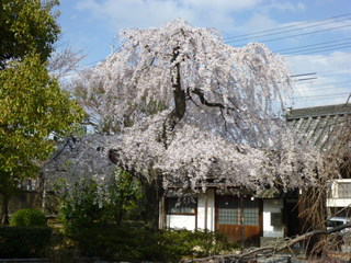 140401-1.JPG