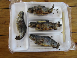 241222-1.JPG